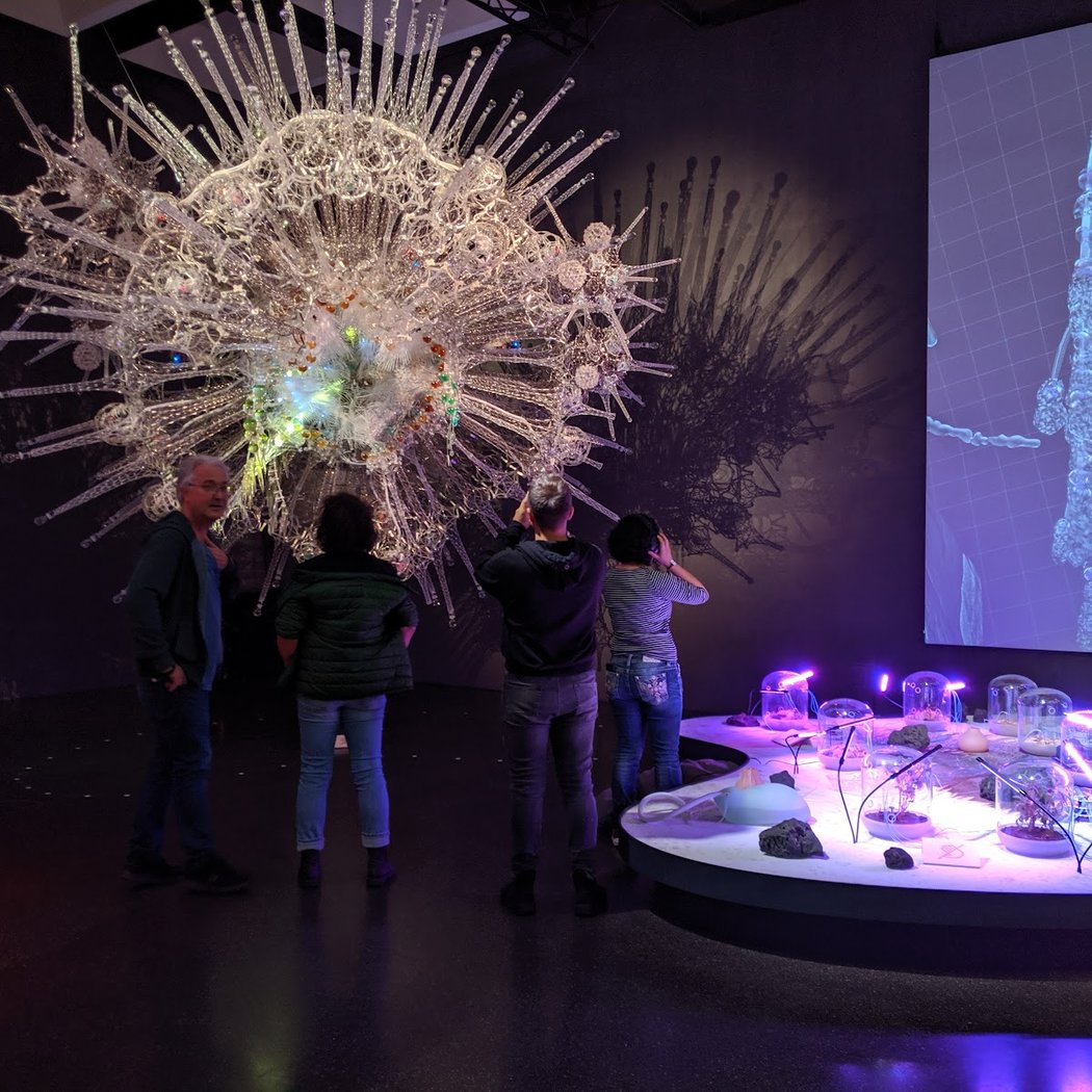 Ocean Futures 3