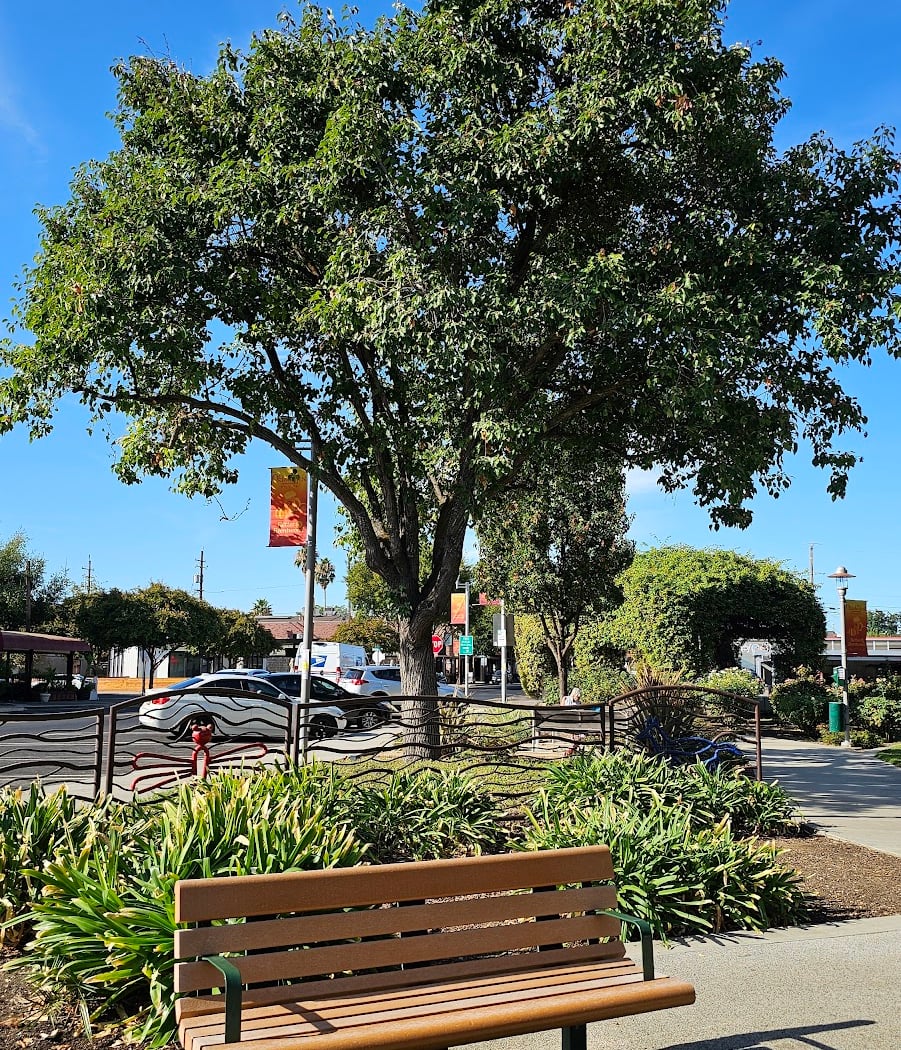Brentwood City Park - Playground 2