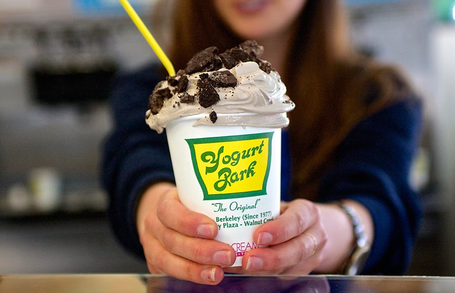Yogurt Park 1