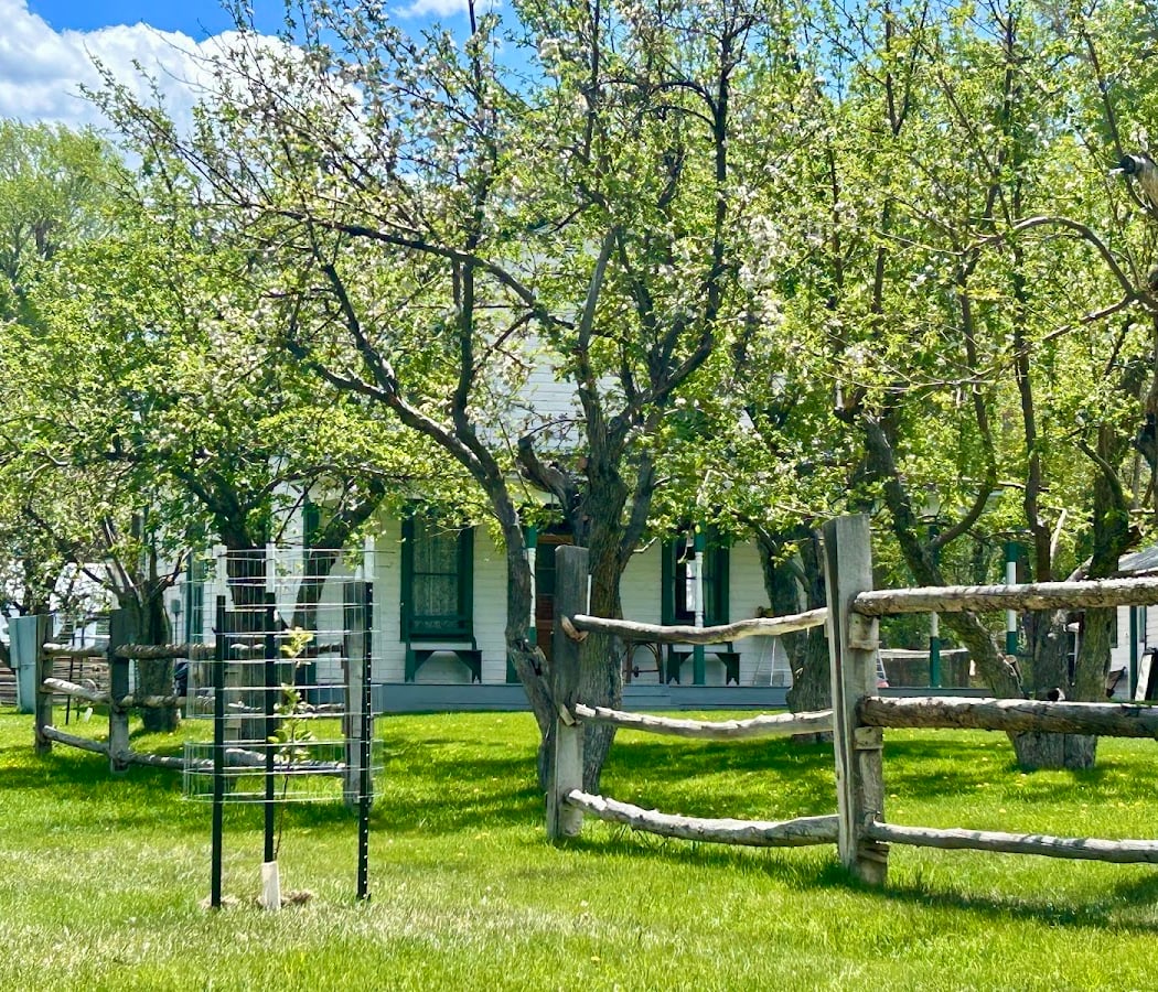 Friday at the Farm: The Gulleys 3