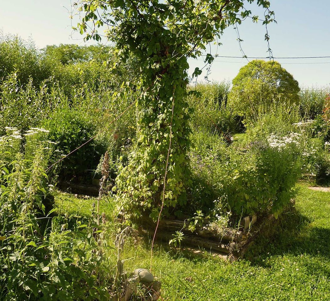 Les Ateliers En Herbe 3