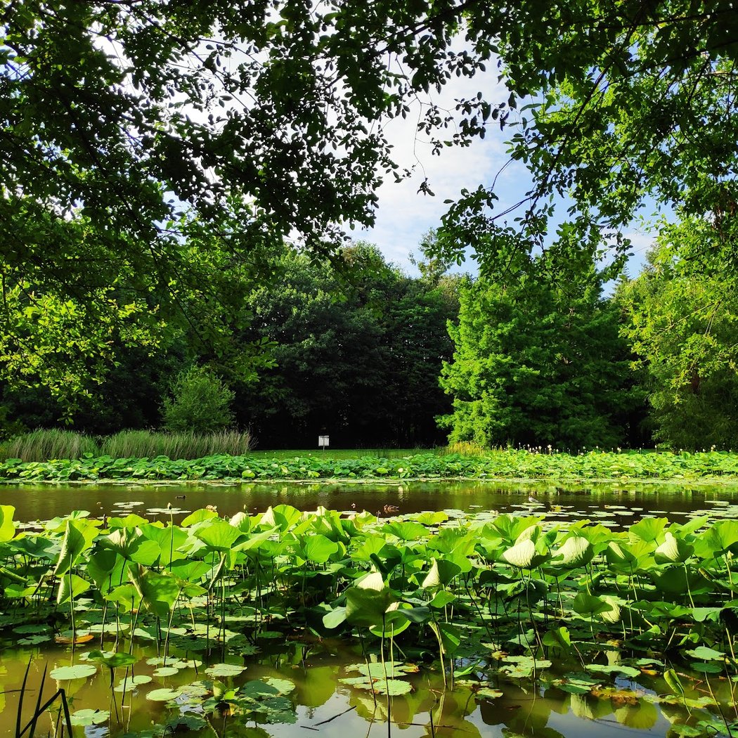 Parc des Gayeulles 3