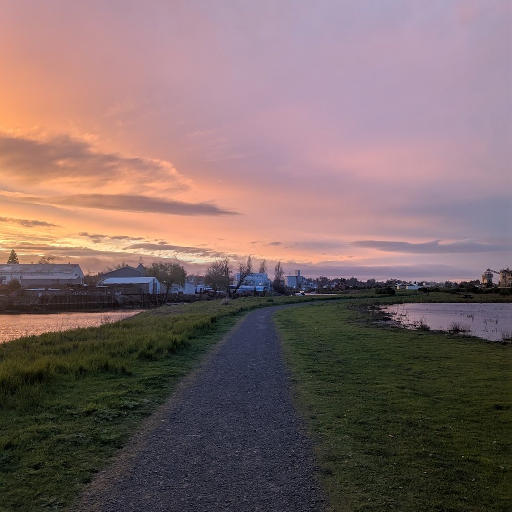 River Park Walk 1