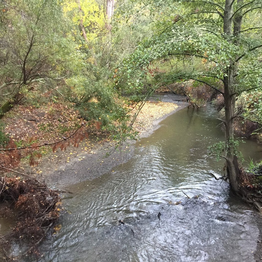 Old San Pablo Trail 3