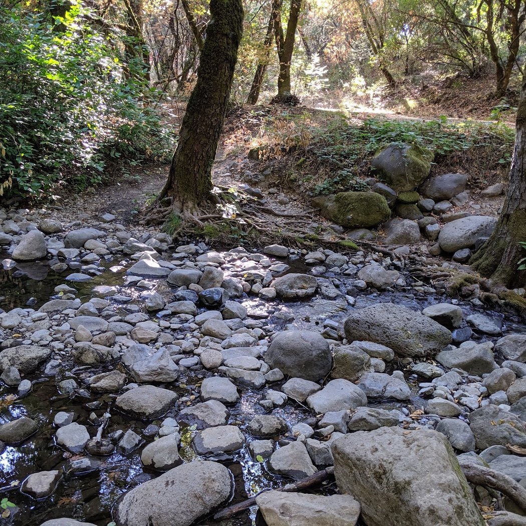 Napa Valley Trail Marathon 3
