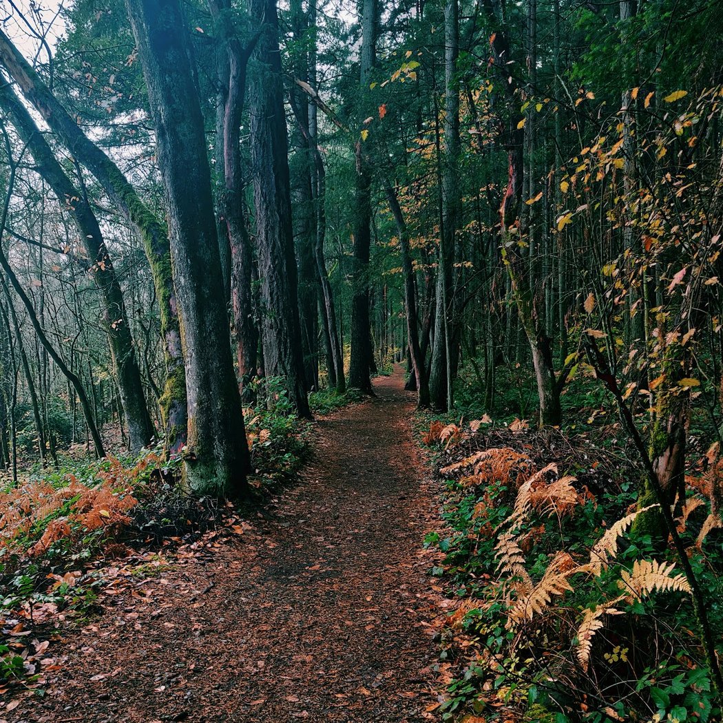 Tacoma Nature Center 1