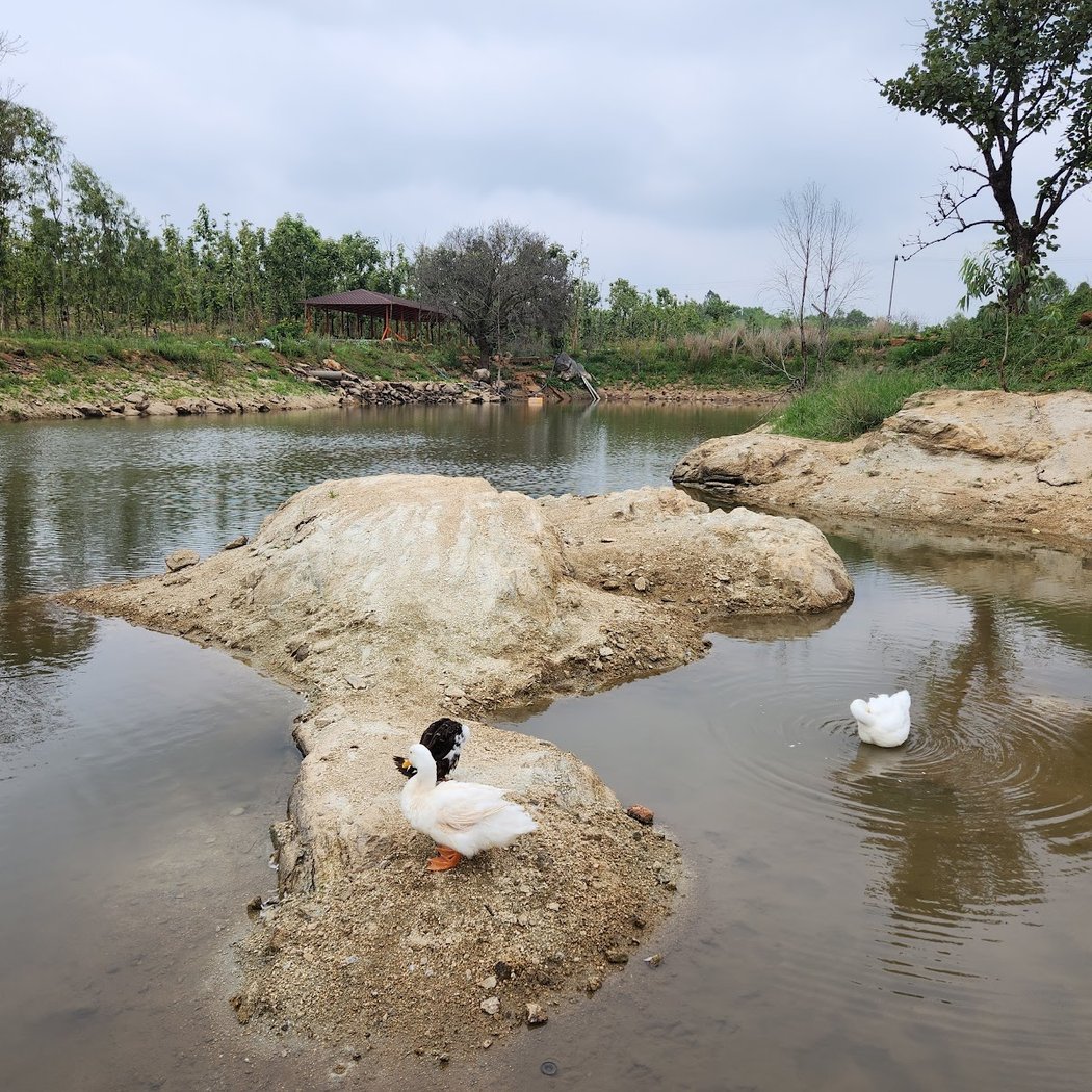 Citrus Trail Farm & Kitchen (Reservation mandatory) 3