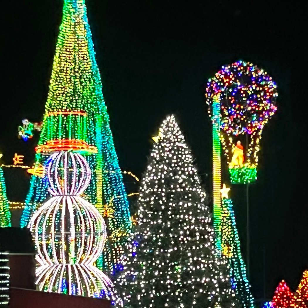 Nicol's Christmas Light Extravaganza 3