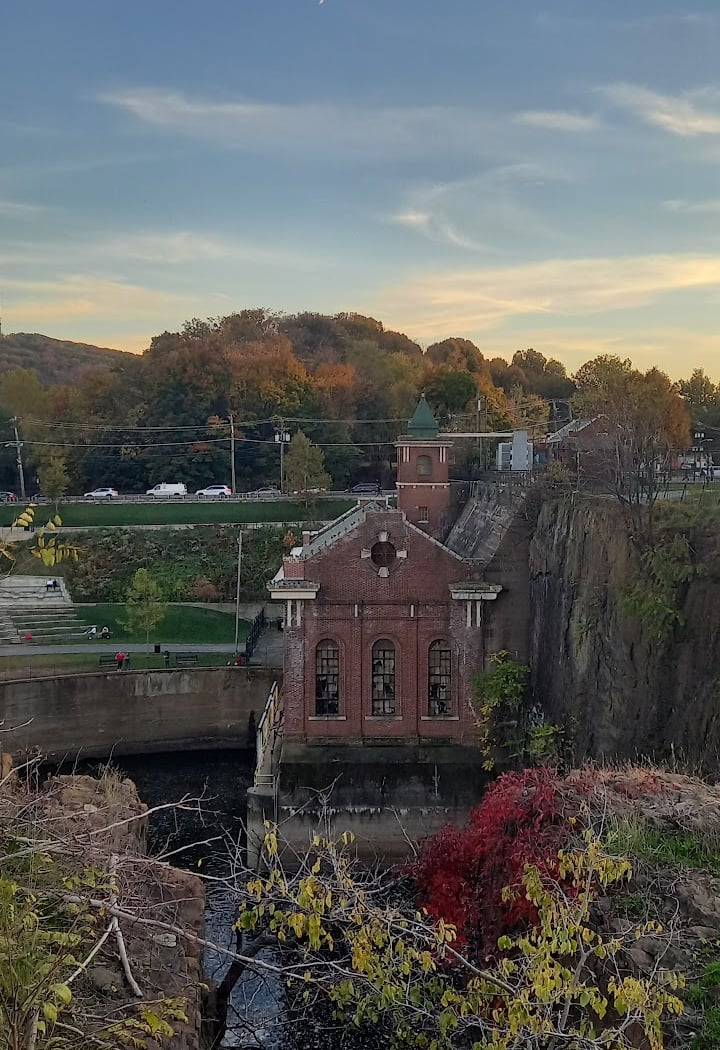 Paterson 4