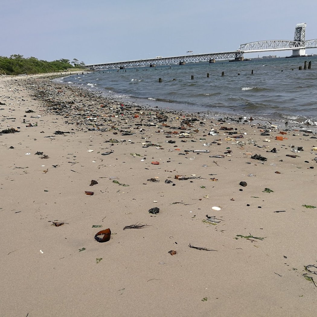 Dead Horse Bay 2