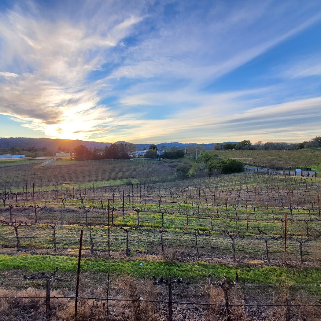 Wine and Food Pairing Weekend 1