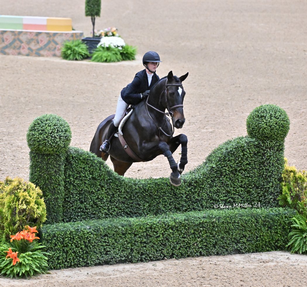 Saddle River Equestrian 1