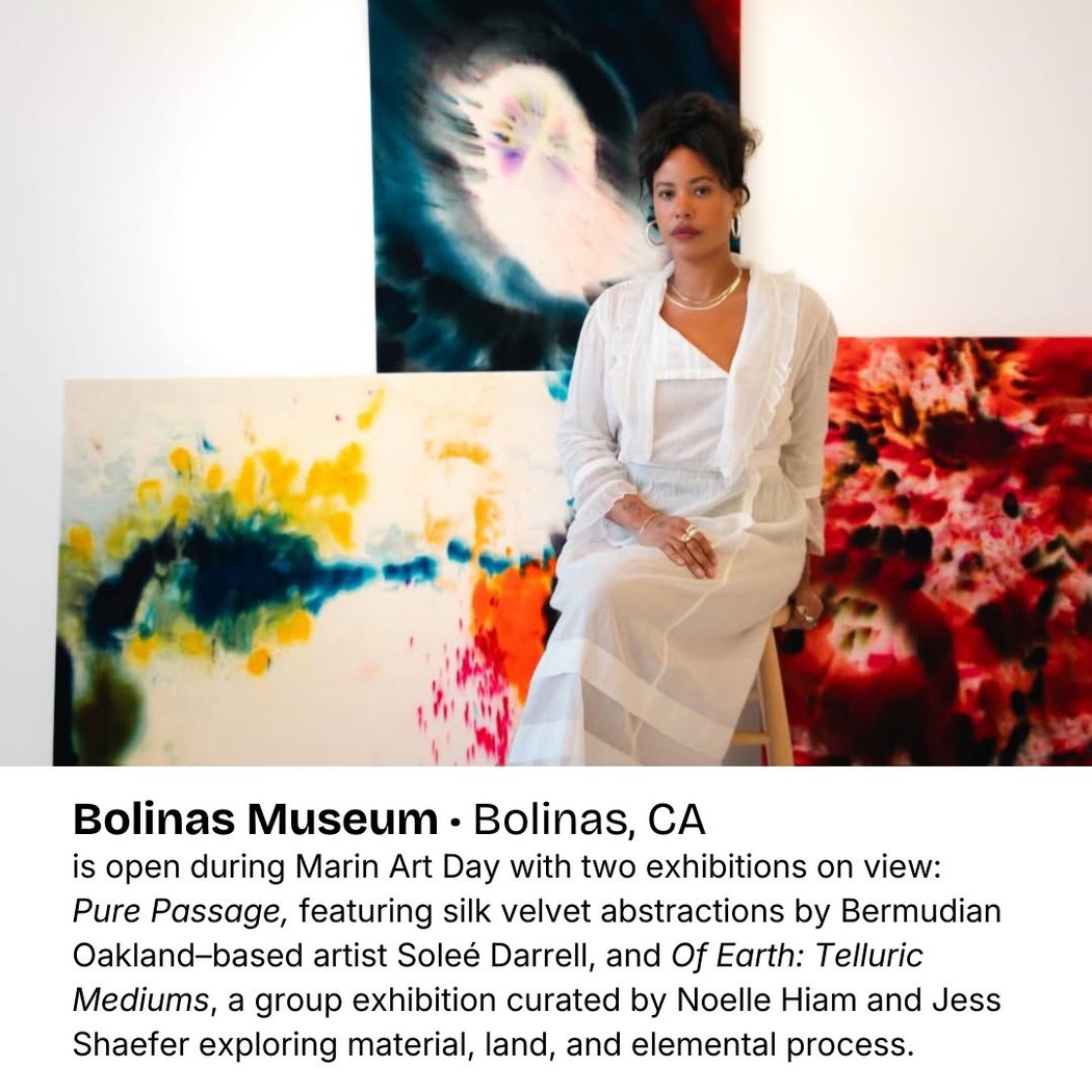 Soleé Darrell’s silk velvet abstractions and 'Of Earth: Telluric Mediums' exhibitions 1