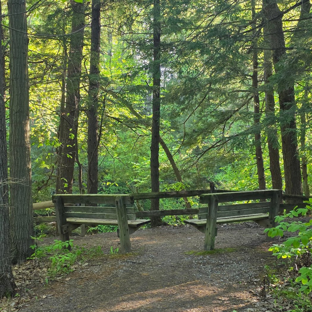 Penitentiary Glen Reservation 2