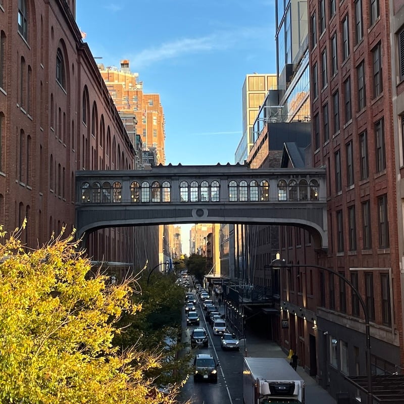 Oreo Way Skybridge 2