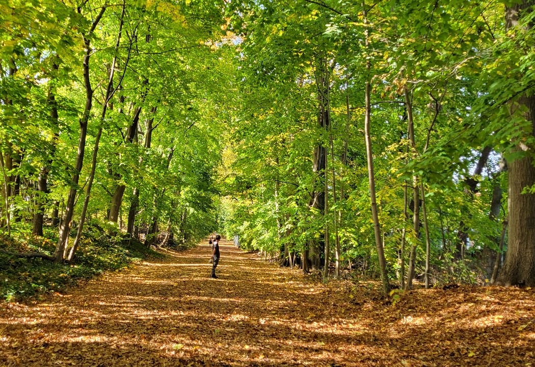 Vanderbilt Motor Parkway 1