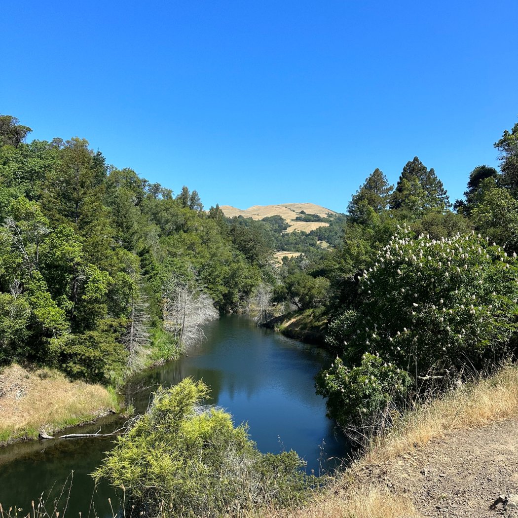 Phoenix Lake 2