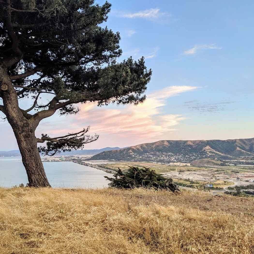 Bayview Park 1