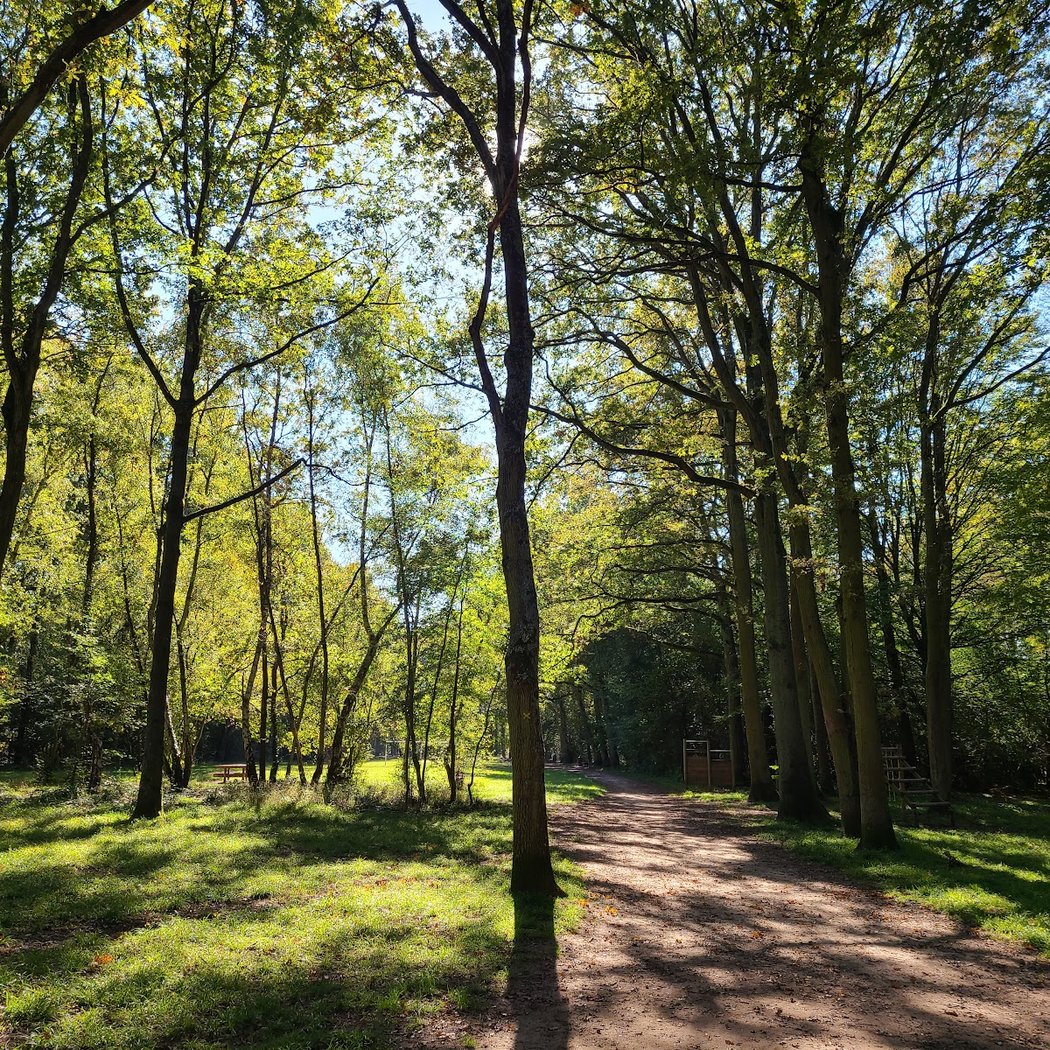 Yvris Woods 1