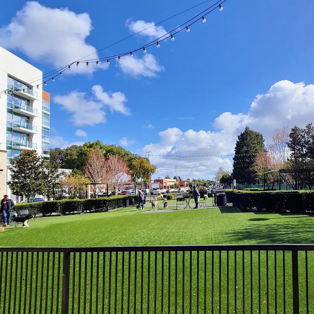 Village Green Dog Park 1