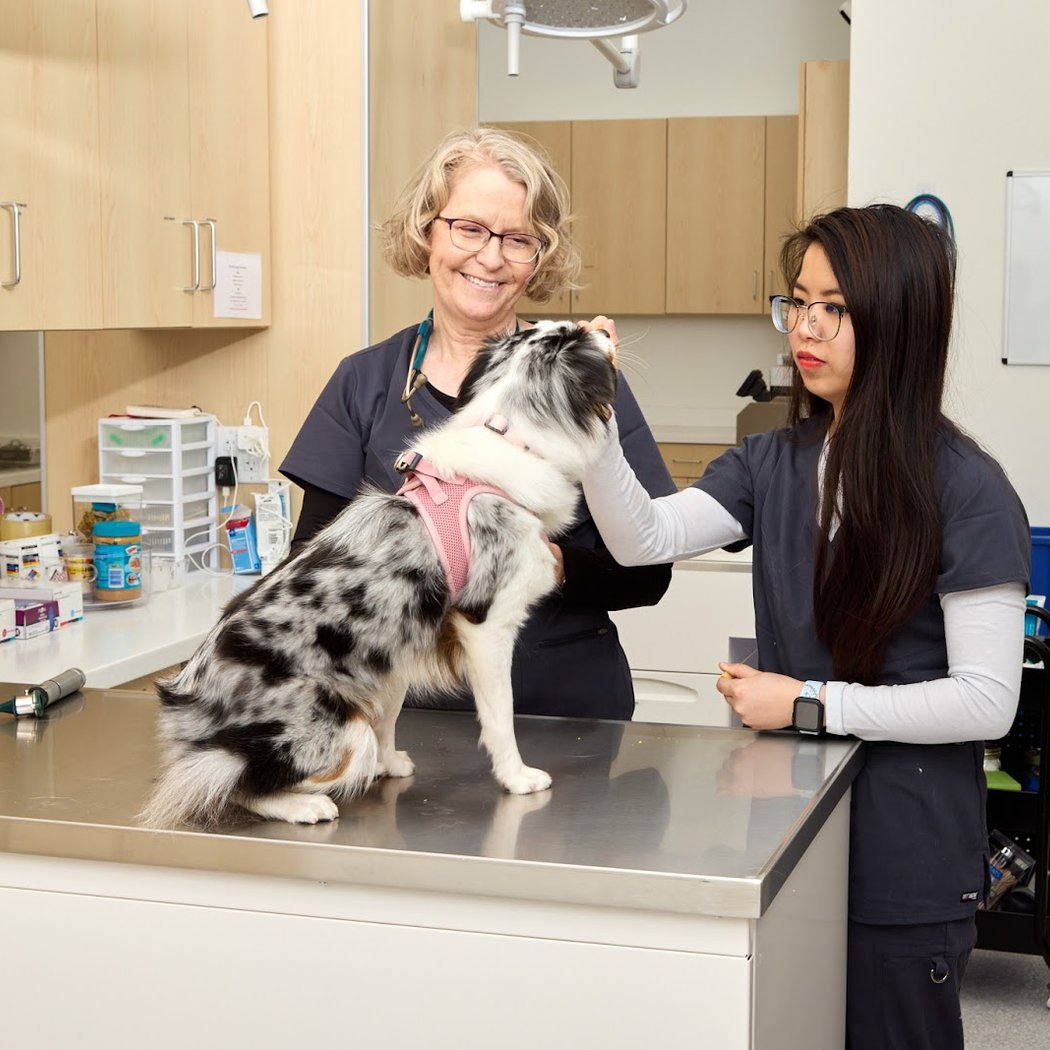 Murphy Pet Hospital 1