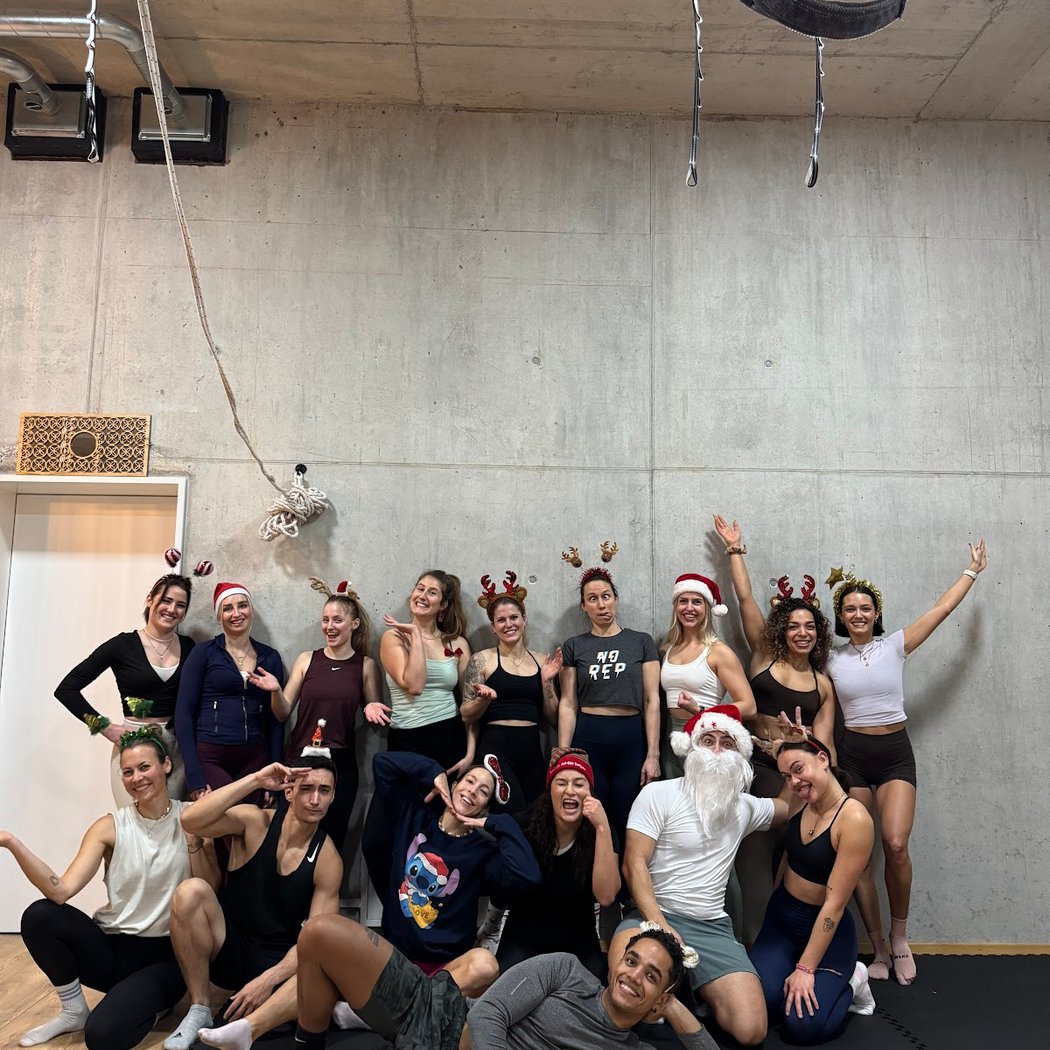 Calisthenics Classes Luzern 2