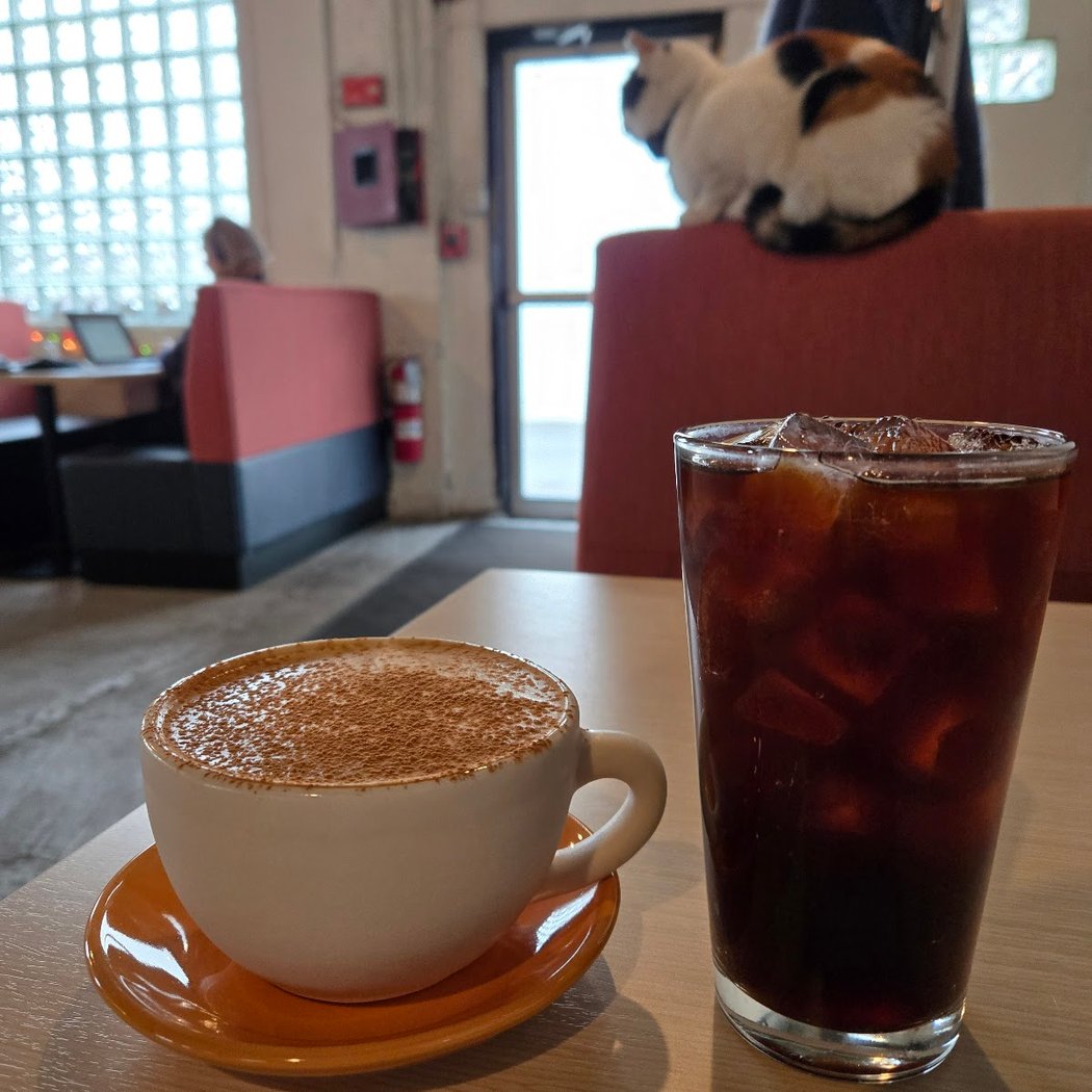 The Café at Short Path 2