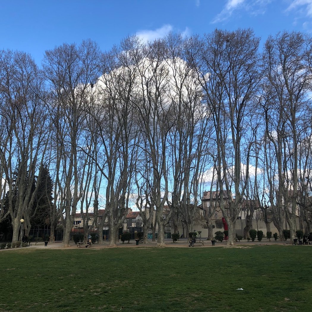 Guy Azaïs Garden 3