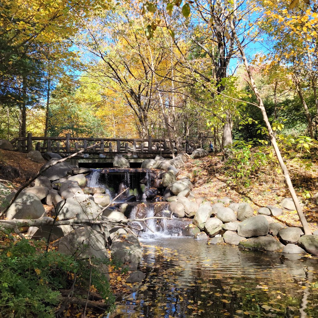 Prospect Park Wellness Walk