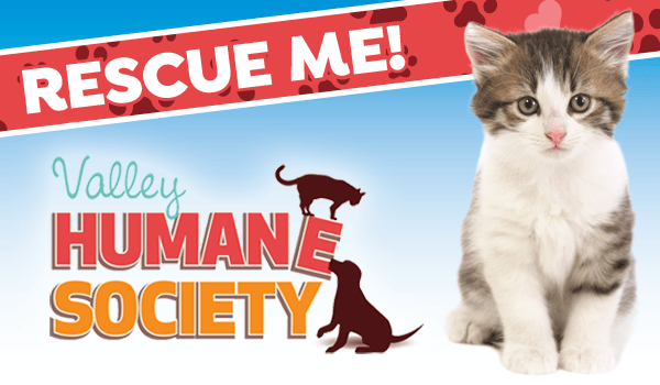 Valley Humane Society 1