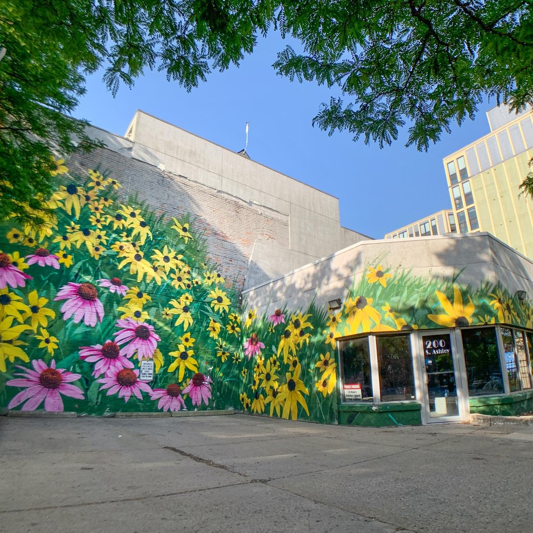 Ouizi Mural (A2AC Murals) 2