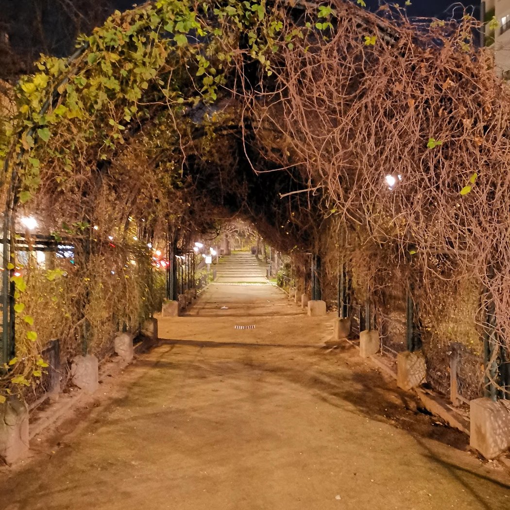 jardin de l'Abbé-Lemire 3