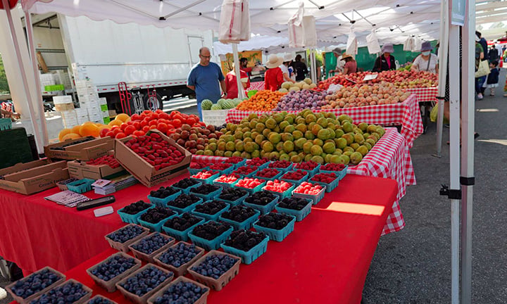 De Anza Farmers' Market 1