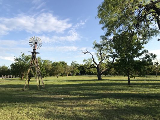 Summer Adventure Camp Week 3 1