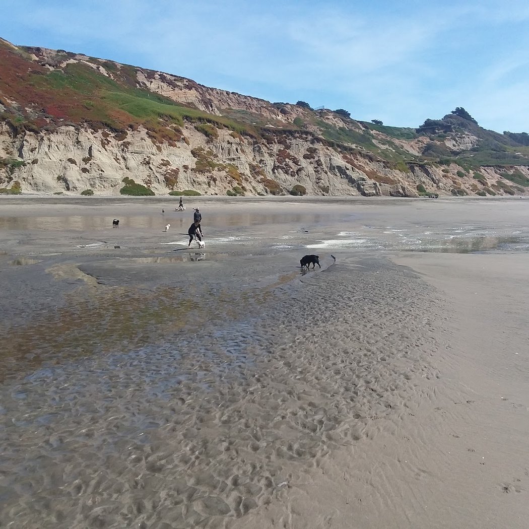 Palisades Park 1