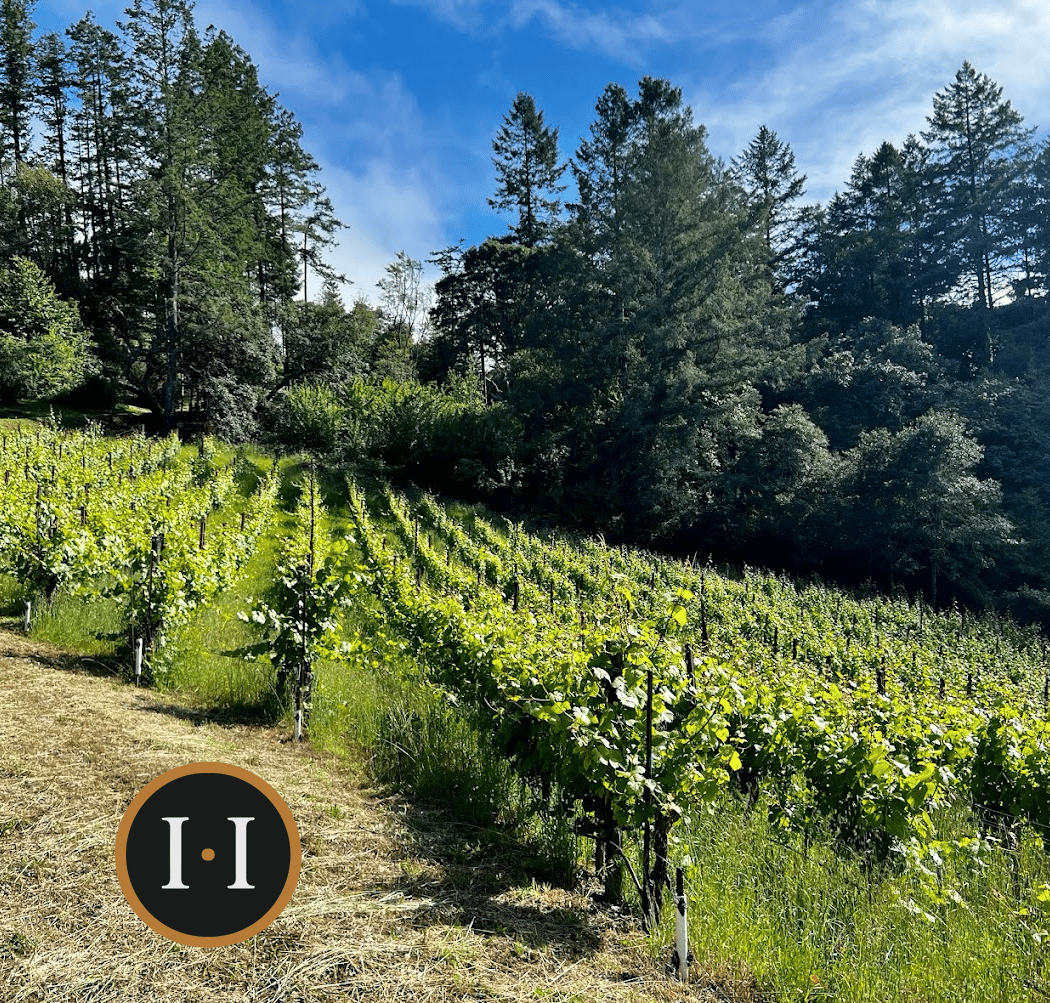 Halleck Vineyard Estate Winery & Wine Tasting Room 2