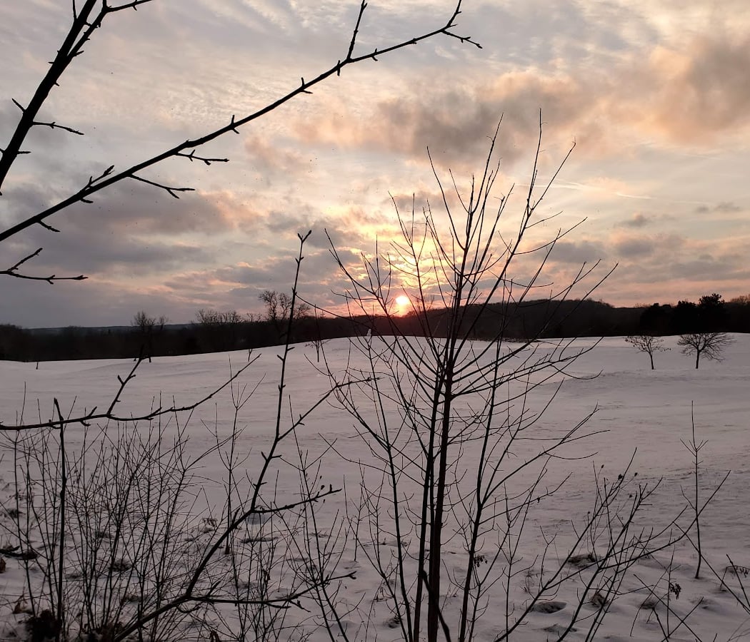 Stapp Nature Area 3
