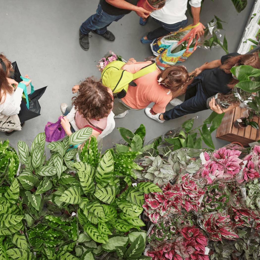 Pop-Up Plantes Pour Tous 1