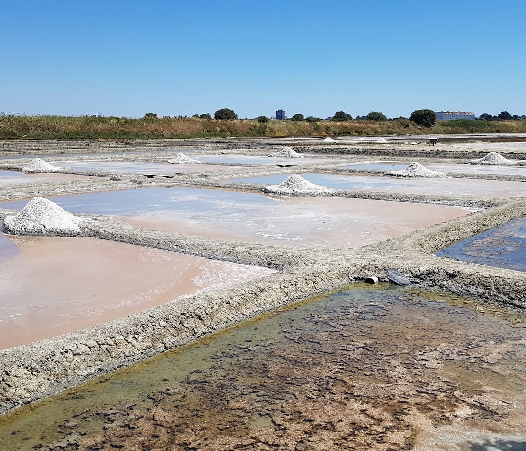 Balade musicale au beau milieu des marais salants 1