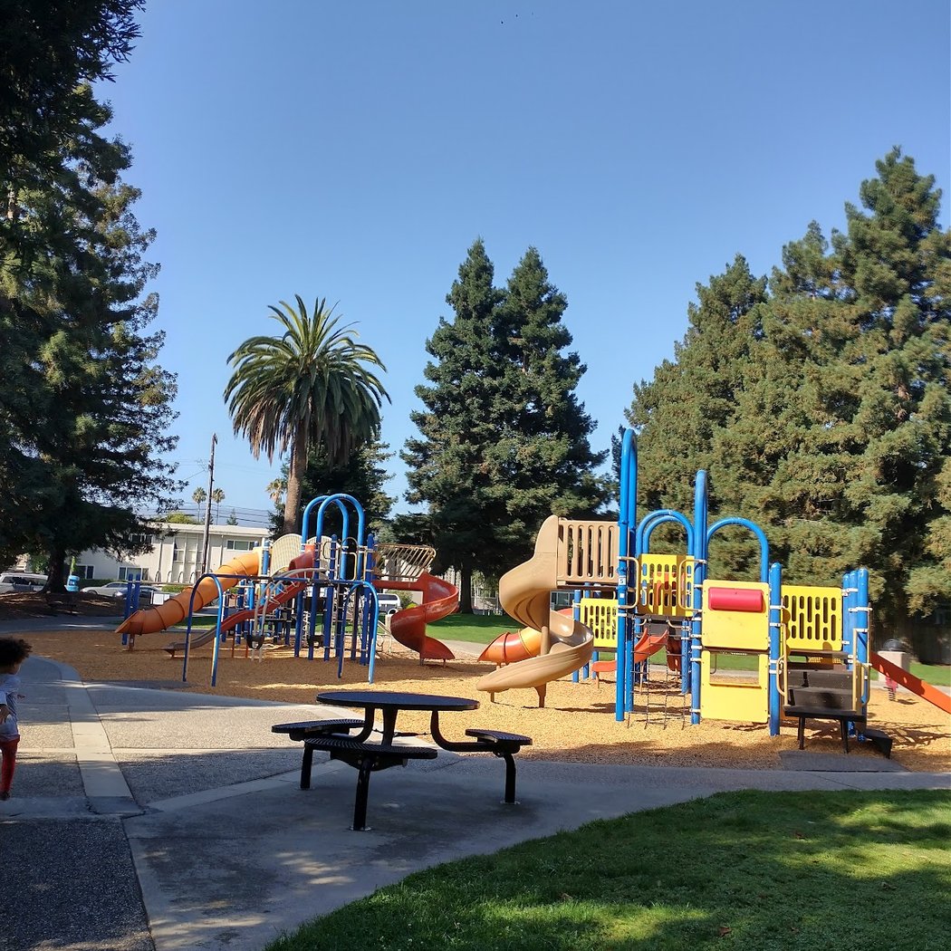 Palm Park 1