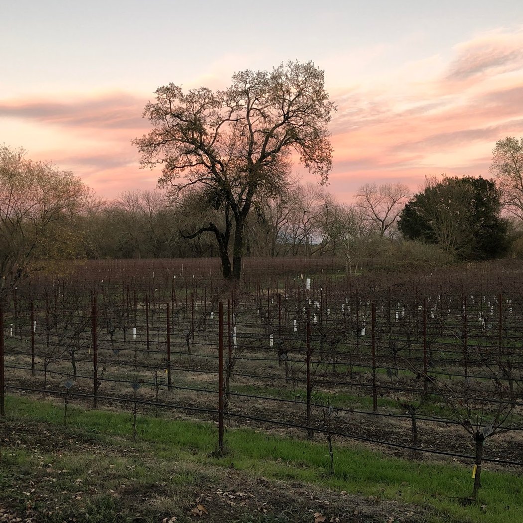 Gracianna Winery 3