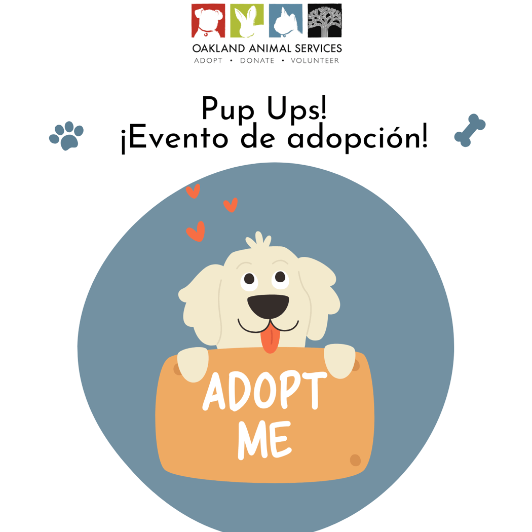 Meet adoptable pets and learn more about the many programs at Oakland Animal Services 1