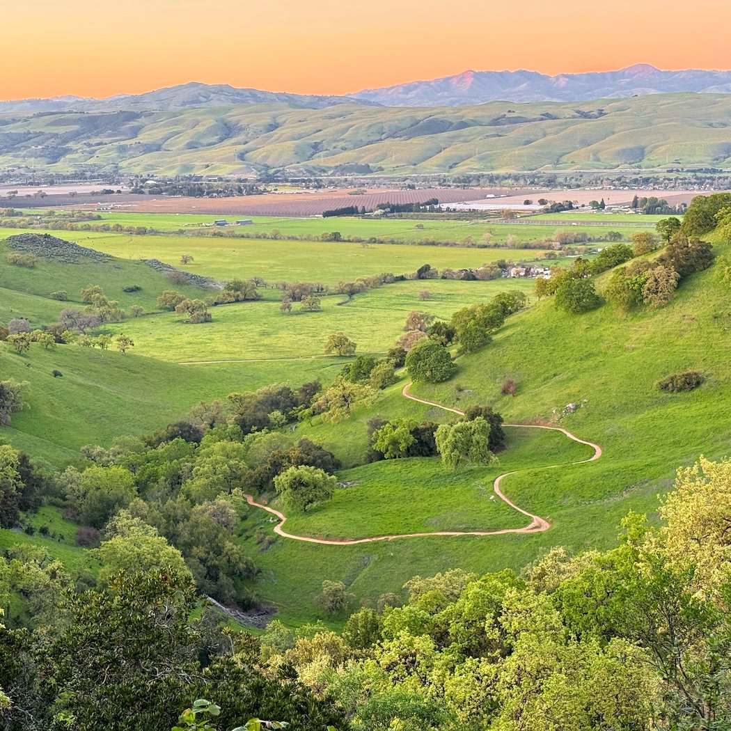 Santa Clara Valley Bird Alliance Event 1