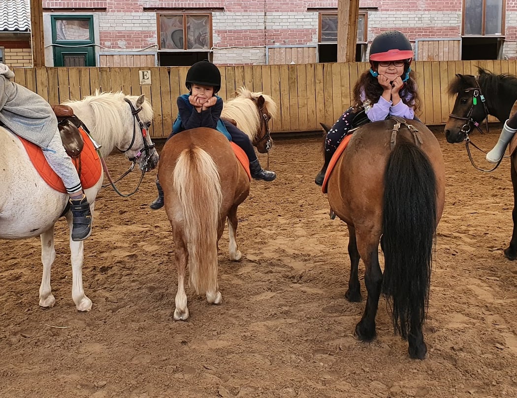 Concours equitation 1