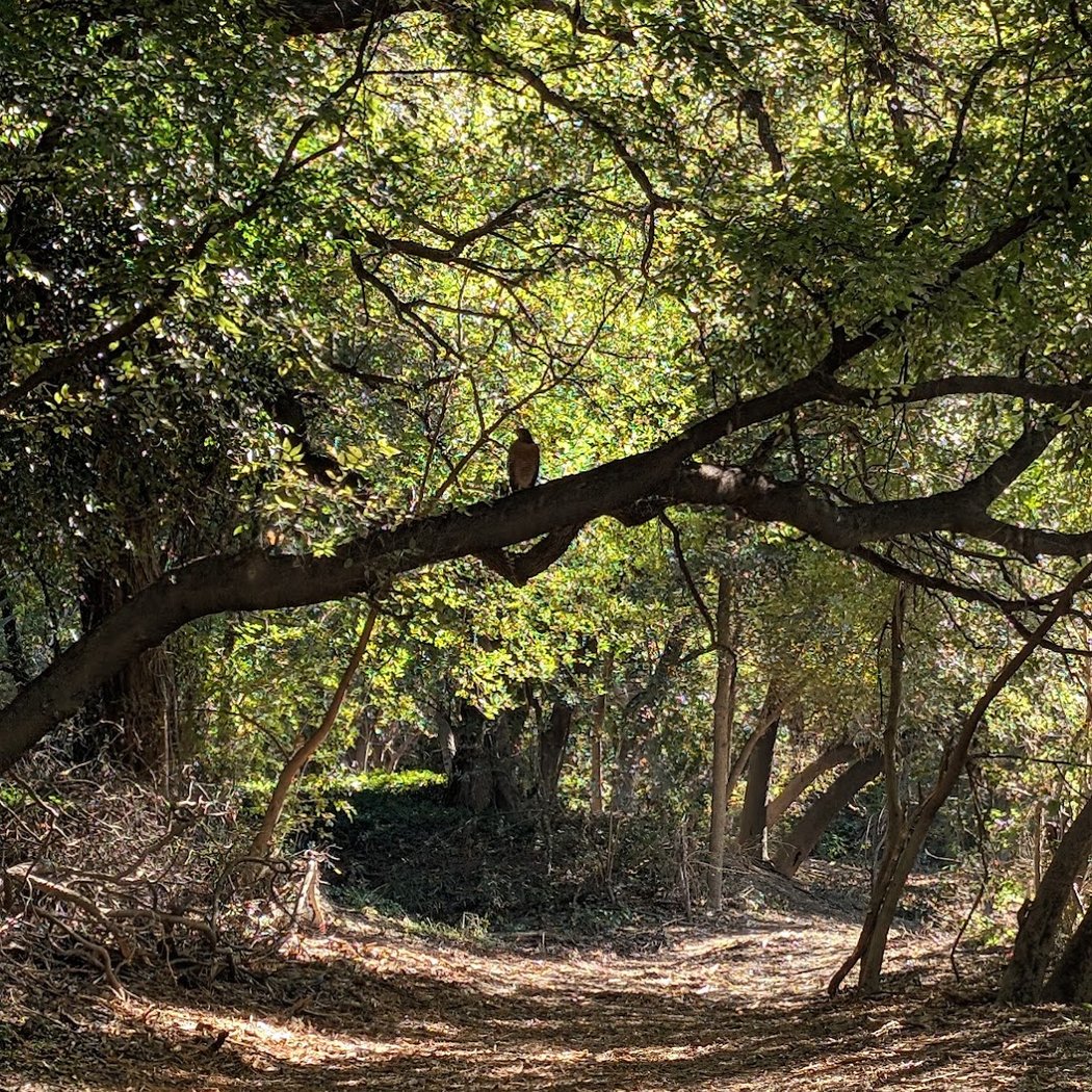 Olmos Basin Park 3