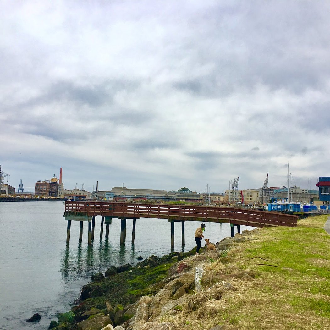Agua Vista Park 2