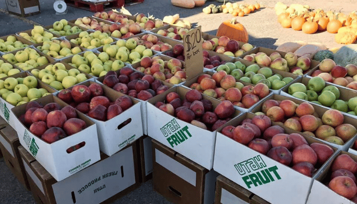 Murray Farmers Market 3