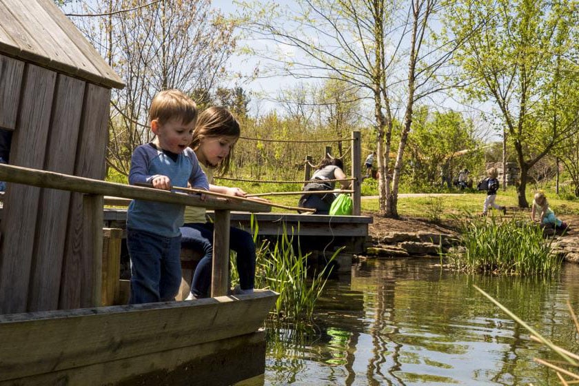 The Arboretum, State Botanical Garden of Kentucky 3