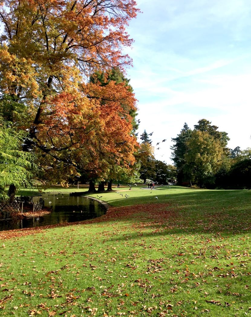 Parc de Procé 3