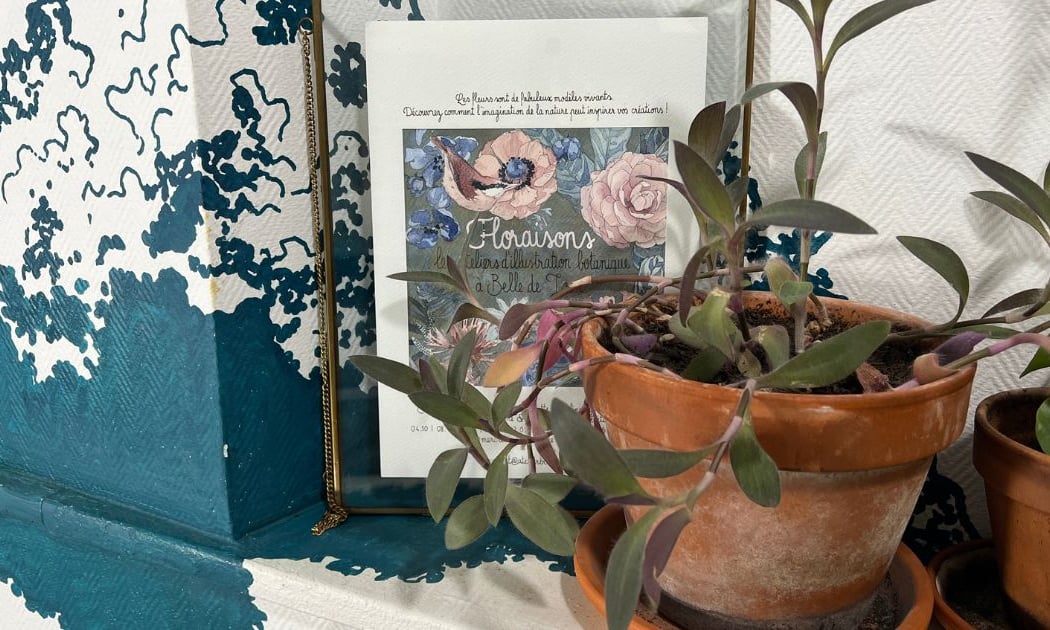 Atelier d’illustration botanique